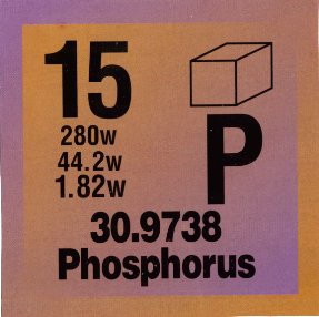 Phosphorus: The Negative Layer